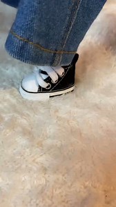 71K views · 2.2K reactions | Cholodog   #CelsoPiña #cholodog #cholos #chihuahua #dog #dogs #dogsofinstagram #viralreelsシ #viralreels #funnyvideos #fypシ゚viralシ #reelsfbシ #paratipage #fypシ゚ #foryoupage | Daisymx6oficial | Facebook