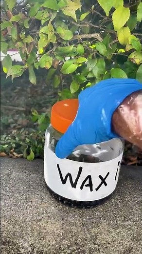 How To Clean And Wax Your Bike Chain - Part 1