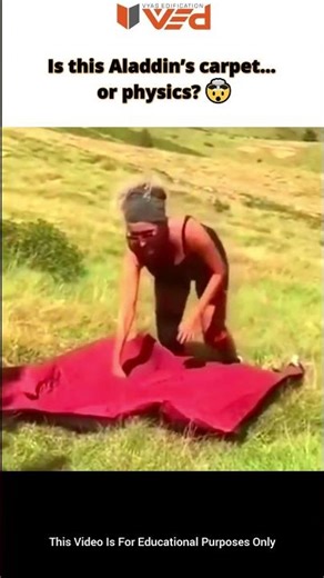 Aladdin’s Carpet Illusion Exposed by Physics ⚡#shorts #viral