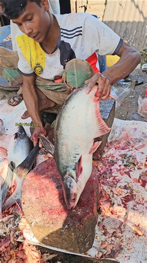 Amazing! Attractive Best Big Size Pangas Fish Cutting 😱 #shorts