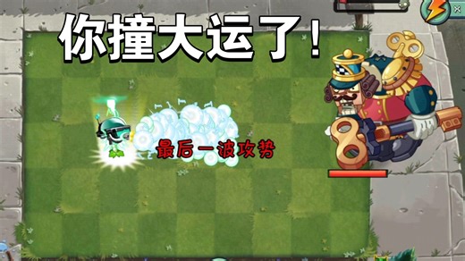 哪些植物叠种50株能击杀20万血胡桃夹子巨人？