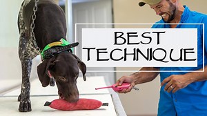 1.3K views · 18 reactions | In this video we talk about reinforcing the collar in the trained retrieve process. Follow along to learn about how to make this transition with your dog. | Standing Stone Kennels | Facebook