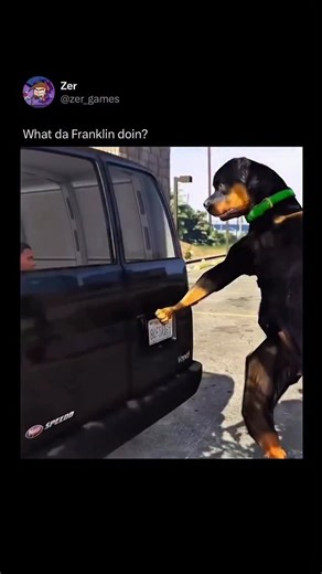 Gaming Memes | Zer 🎮 on Instagram: "In Grand Theft Auto V, Franklin Clinton’s Rottweiler, Chop, is one of the few companion characters in the game, but that didn’t mean he’s safe from modders. Even though Chop can enter vehicles, follow Franklin on missions, and react dynamically to the environment, mod creators decided to ditch the open-world engine and ragdoll physics, create moments like this where animations break in unexpected ways. These clips aren’t scripted scenes, they’re a modders dre
