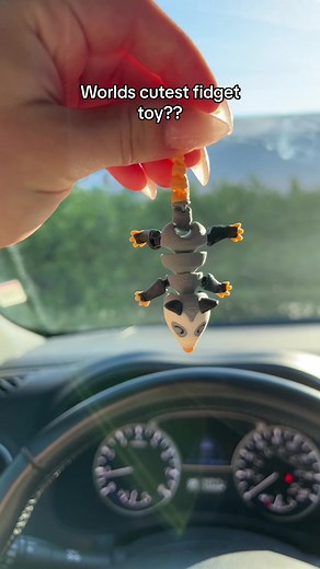 So cute #ad #fidgets #stimming #fyp