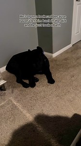 16K views · 812 reactions | He really thinks that sad face is going to work ‍↔️ #raisingbane | Raising Bane | Facebook