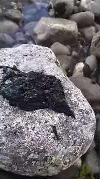 Real Life Venom Symbiote