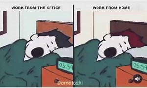 Codeamy on Instagram: "Work from Home 💯💯 Tag a friend 😊 Follow @codeamy for more, Like, Share and Comments more @codeamy . . #websitedeveloper #appdeveloper #developers #gamedeveloper #computersciencemajor #programming #programminglife #developer #computerscience #hacking #happyhacking #programminglanguage #programmingisfun #softwaredeveloper #funnymemes #memes #funny #memesdaily #funnyposts #pythonprogramming #iosdeveloper #computerengineering #computerprogramming #computersciencestudent #we