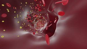 clip-1095183359-this-motion-graphic-shows-animation-blood-vessel