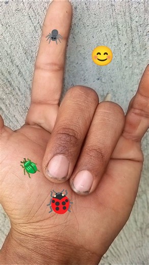 is wel beetle or Chrysochroa is a genus of "jewel" or metallic wood boring beetlical of the