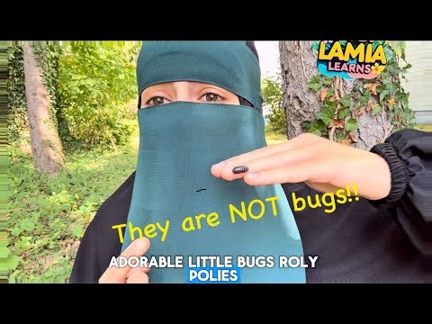 Roly Poly Bug Up Close 🪲✨ | Amazing Isopod Facts for Kids | سبحان الله