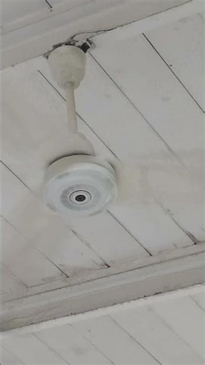 Coolfan And Copacabana Industrial Ceiling Fans In A Chicken Restaurant