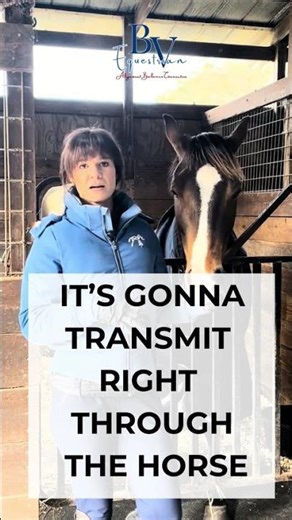 Responsibility in Riding Partnership