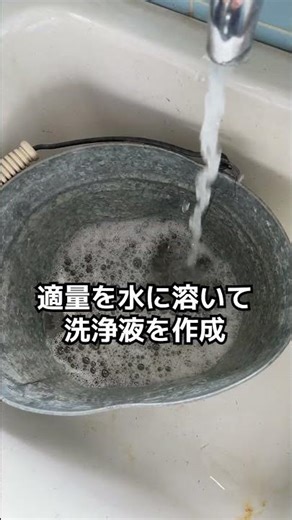 閲覧注意！【臭い改善】原因は菌！洗浄液を使って床を洗浄しながら除菌・消臭《その3》 #shorts #ピュアケミカ #洗剤 #掃除 #衛生