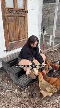 17 CHICKENS: Doing coop chores before spring snow hits! #backyardchickens #chickencoop