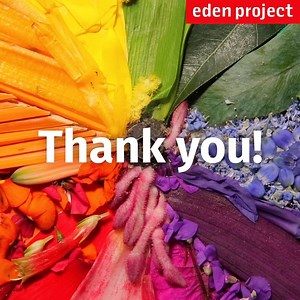 A rainbow of plants grown at Eden to say thanks to all the carers and key workers keeping us safe and well. 👏 #ClapForOurCarers 🌈 | Eden Project