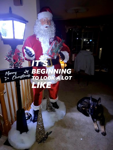 20 reactions | Its time..My house will be a Christmas wonderland this year.. Ill post pics along the way but so far, Bailey approves... | Greg Wireman | Facebook