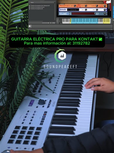 Guitarra Eléctrica Pro: Envío Gratis y Pago Contra Entrega