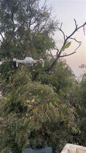 Dji mini 2 drone camera setup #dji #drone #shorts #viral #trending #shortsfeed #new #reels #fyp