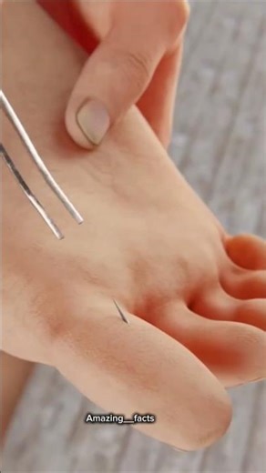 Splinter #shorts #viralvideo #trending