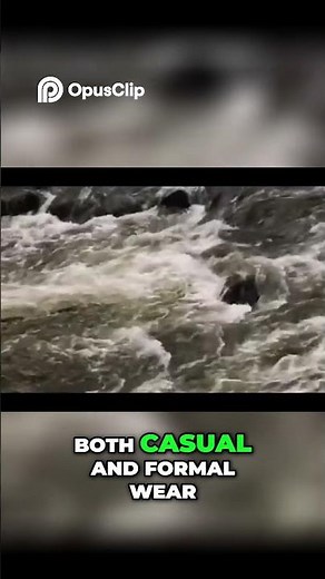 Hamilton Khaki Field Is This The BEST Watch