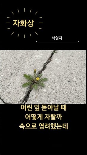 자화상 _석영자 낭송향낭