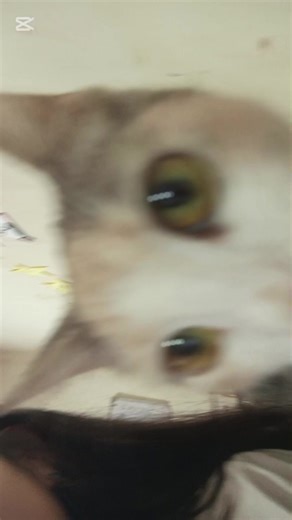 Amazing GRWM Tips for Your Daily Routine