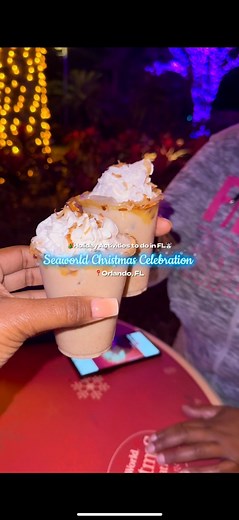 🎄Holiday Activities to do in FL☃️: Seaworld Christmas Celebration📍Orlando, FL. Such a fun holiday event to do in Orlando. Make sure you check it out! 📍Seaworld Orlando #thingstodoinorlando #seaworldorlando #holidayseason | Kaylan Marie