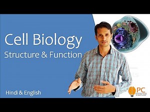 Cell Biology | Human Cell Structure and Functions