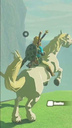 How to Find and Tame Zelda's White Horse in TOTK