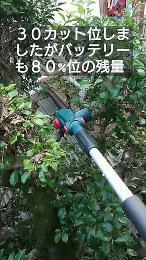 コメリ 高枝切りチェーンソー １８V プライベートブランド B－share 使ってみた。電動チェーンソー #コメリ