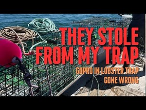 GoPro in Lobster Trap!