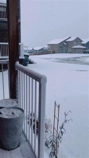 beautiful first snowfall transforms landscapes into a serene, quiet winter wonderland ❄️ #firstsnowfall #winteriscoming #WinterReady #canadalifestyle #peacefulindistance | Peaceful in Distance | Facebook