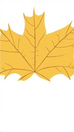 Drawing an autumn leaf! 🍁 #art #autumn #drawing #digitalart #procreate #speedpaint #leafart