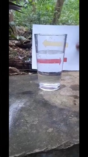 This Water Glass Trick Will Confuse Your Eyes! 🤯 | Amazing Science Experiment #shortvideo #shorts