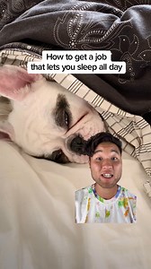 Find jobs without having to search with an Indeed profile. | Indeed