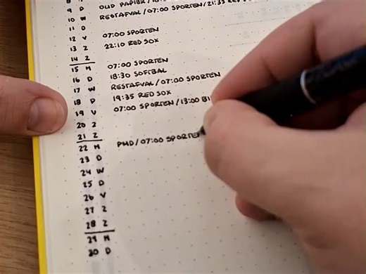 Monthly Log Setup｜月度记录 点阵本｜bulletjournal.with.inge｜手帐布局