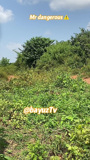 Funny bike man prank~that went extremely dangerous~try not to laugh 😂 😂 😂 Wait for it 😂😂😂 #reels #reelsinstagram #reelitfeelit #reelsvideo #pranks #prankvideo #explore #exploremore #explorepage #tiktok #tiktokerszone #tiktokers #tiktoker #tundeednut #instablog9ja #insta #viral #viralvideos #viralpost #viralreels #bloggers #bloogers #new #happynewmonth #yabaleftonline #reaction #dontlaugh #videoprank | Bayuztv