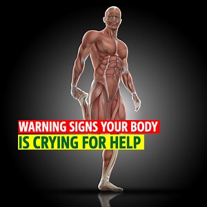 60K views · 1.8K reactions | Warning signs your Body is crying for help | Doctor ASKY | Facebook