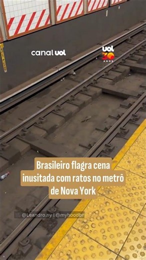 Brasileiro flagra cena inusitada com ratos no metrô de Nova York