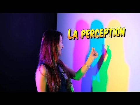 Psychologie - Pourquoi la perception est-elle différente de la sensation ?