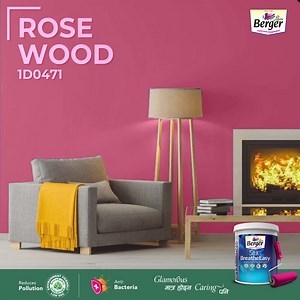 20 reactions | Which colour would you prefer for your cosy Living Room? a) Pepper Pot 4A0410 b)Purple promise 6D1231 c) Rose Wood 1D0471 d) Sun Blazer 2DD2034 e) High Country Twilight 5D1047 Visit our website to get more colour options from Berger Paints Nepal. #BergerPaints #BergerPaintsNepal #PaintYourImagination #SilkBreatheEasy #InteriorIdeas | Berger Paints Nepal | Facebook