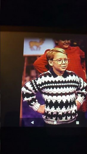 Barney The Alphabet Zoo Shawn