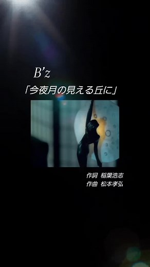 今夜月の見える丘に: Beautiful Lifeの主題歌