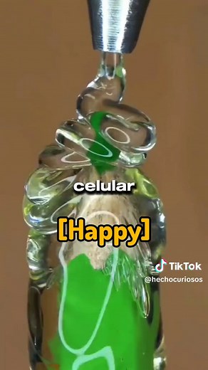 Datos Curiosos que te Sorprenderán 😱