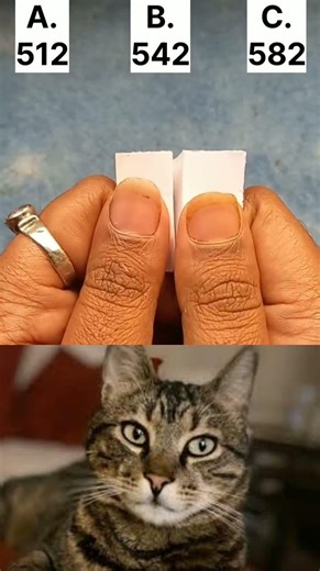 Only Smart People Can See The Right Numbe #shorts #cat #bombastic