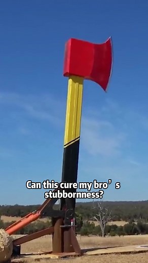 Exploring Science Behind Stubbornness