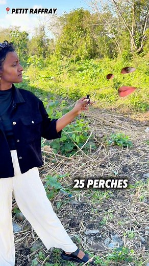 Let’s go interview Mr. Terrain at 📍 Seaview Lane, Petit Raffray: 25 perches of possibilities at MUR 7 million. #land #realestate #belvieliving #mauritius | Belvie Living