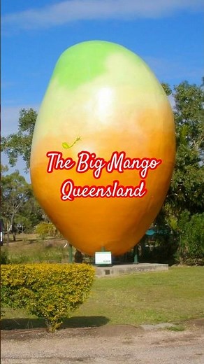 🥭 Big Mango Queensland #bowen #bigmango #bigthings #queensland #mango