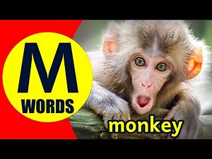 Words Starting With M - Learn Words that Start with M Sound
