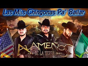 Los Alameños De La Sierra Mix 2025 Las Más Chingonas Pa’ Bailar ~ Puras Cumbias Para Bailar💃